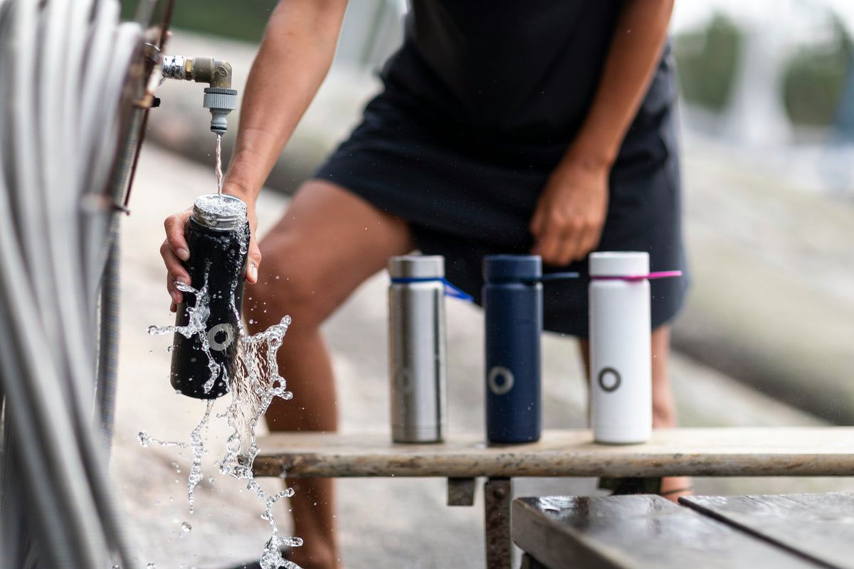 Collection de gourdes et thermos en acier inoxydable