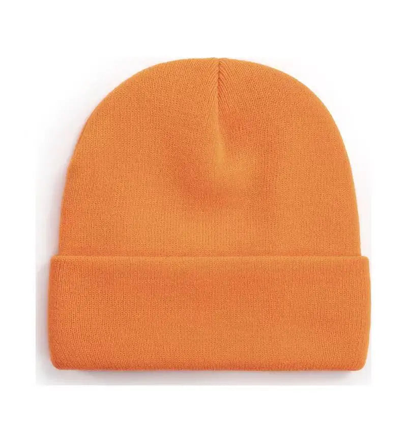 Chapeau froid uni tricoté de couleur unie, bord roulé, personnalisable, polyvalent, décontracté, polyvalent, chaud, pour hommes et femmes